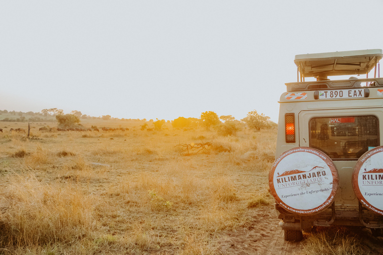 Arusha: Day Trip to Arusha National Park with Lunch.