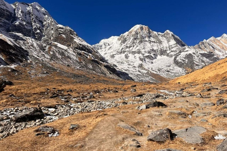 Himalayan Adventure: 9-Day Scenic ABC Trek From Pokhara Private Trek Tour without Meals.