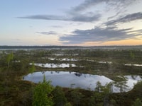 From Riga, Trip to Kemeri National Park & Jurmala - Housity