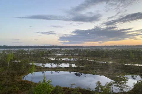 Desde Riga: Viaje al Parque Nacional de Kemeri y Jurmala