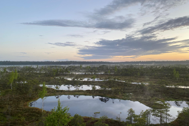 De Riga: Viagem ao Parque Nacional Kemeri e Jurmala