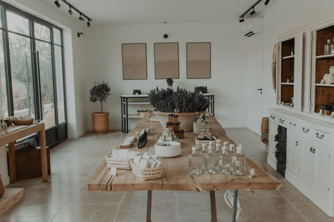 Aix-en-Provence: Lavender Fields Visit