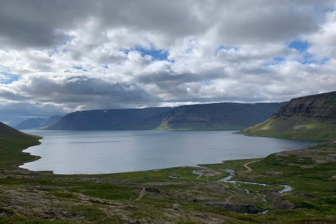 Isafjordur : Visite de la cascade de Dynjandi et visite d'une ferme islandaise
