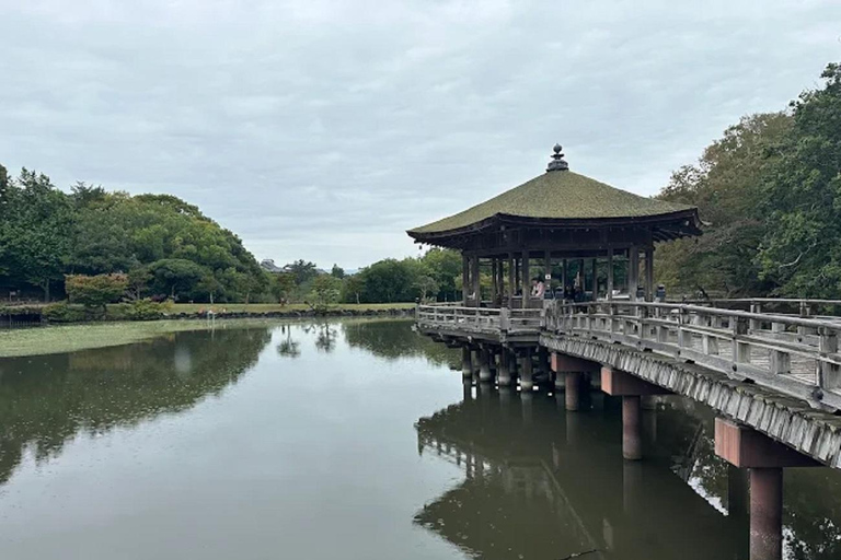 Osaka: Discovering Nara Timeless Grace Guided Tour