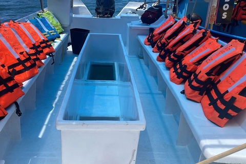 Los Cabos: Whale Watching and Safari