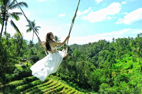 Ubud: Apenbos, Rijstterras, Schommel, Watertempel