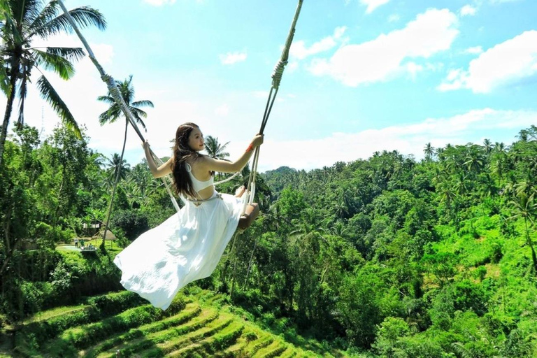 Ubud Monkey Forest, Temple, Rice Terrace and Jungle SwingUbud Tour - All Inclusive