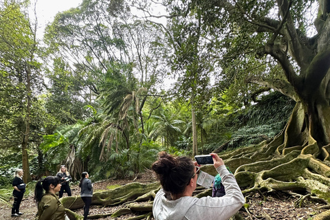 São Miguel: Botanical Gardens and Cave Tour