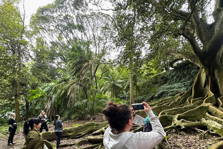 São Miguel: Botanical Gardens and Cave Tour