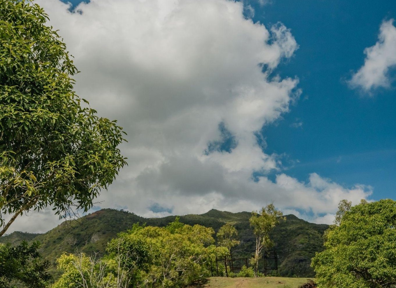 Mauritius: Black River Gorges National Park 3-timers vandretur