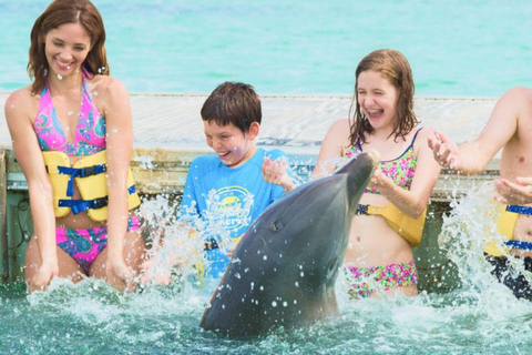 Punta Cana: Dolphin Explorer swimming Free Pickup Hotel Dolphin Royal Swim