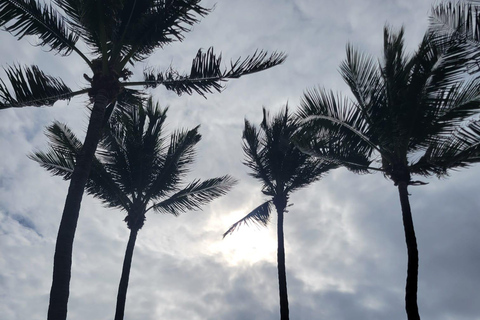 Singer Island: Aluguel de cabana com tudo incluído para um dia de praia!