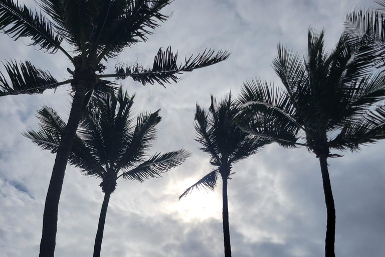 Singer Island: Aluguel de cabana com tudo incluído para um dia de praia!