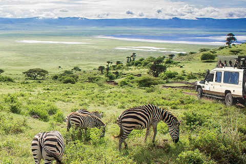 Arusha: Ngorongoro Crater Day Trip with Game Drive
