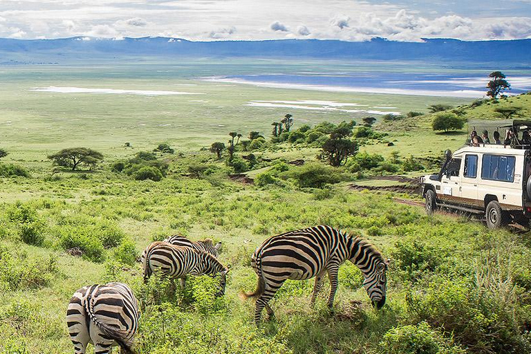 Arusha: Ngorongoro Crater Day Trip with Game Drive