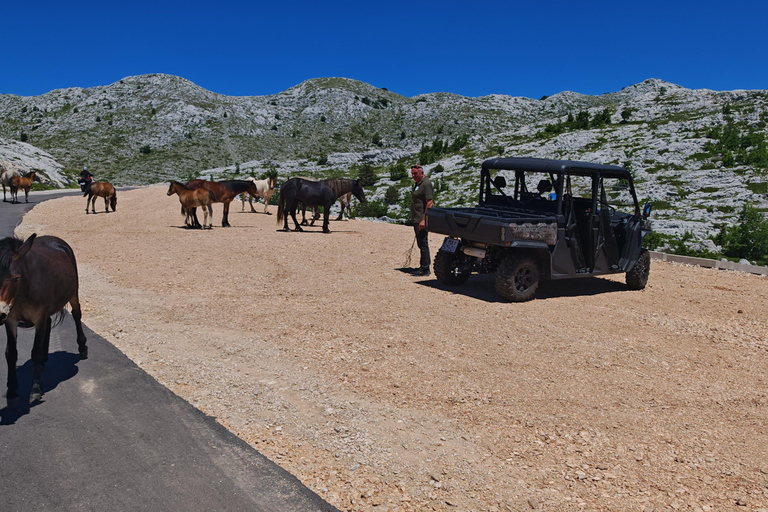 Makarska: Baggy Skywalk & Biokovo Viewpoint Tour Makarska: Baggy Skywalk & Biokovo Viewpoint Tour
