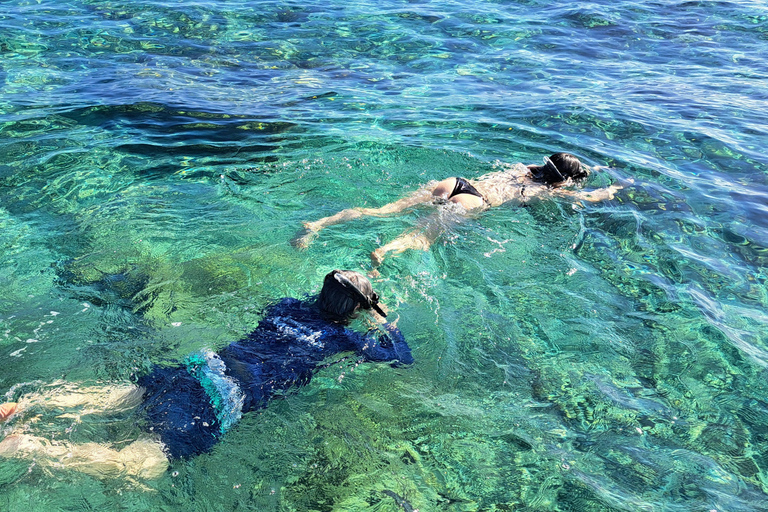 Glass Bottom Nylon Pool Tour in Buccoo Reef