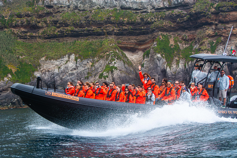 Isla de São Miguel: tour en barco por la costa norte salvajeRecorrido por la costa salvaje del norte - Tarde