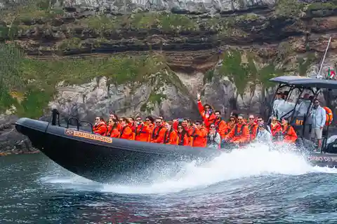 Sao Miguel: Bootstour entlang der wilden und versteckten Nordküste