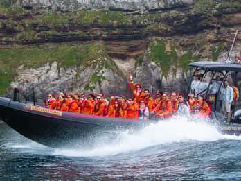 Sao Miguel: Bootstour entlang der wilden und versteckten Nordküste