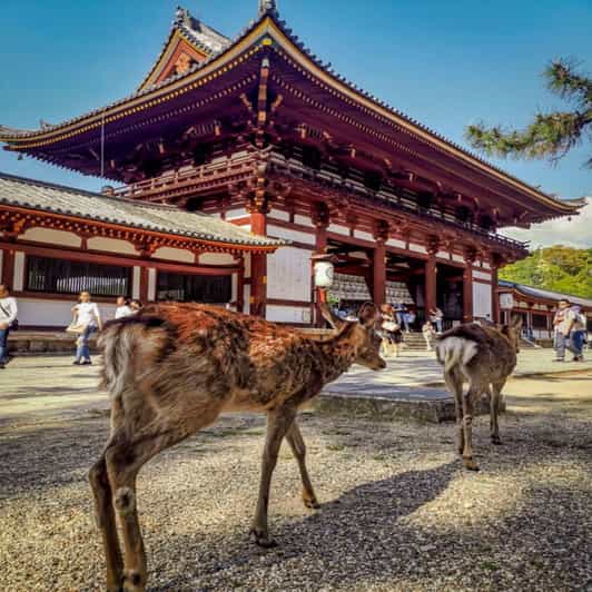 Exclusive Private Guided Tour of Osaka & Nara, Customize