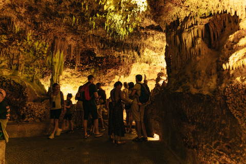 Porto Cristo: Biglietto d&#039;ingresso per le Grotte di HamsMaiorca: visita alle Cuevas Dels Hams