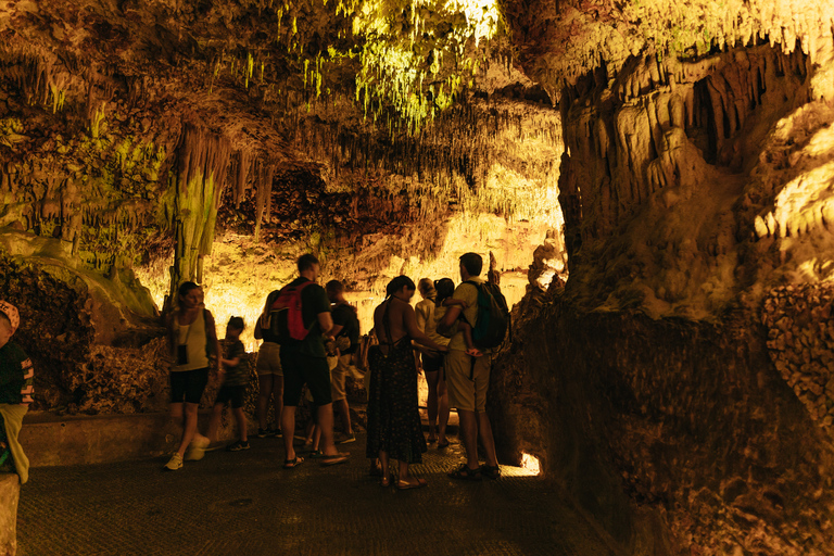 Porto Cristo: Inträdesbiljett till Cuevas dels HamsMallorca: Besök till Cuevas dels Hams