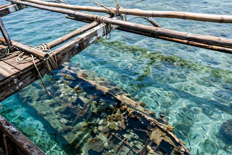 Coron: Reefs & Wrecks Snorkeling Tour with Lunch
