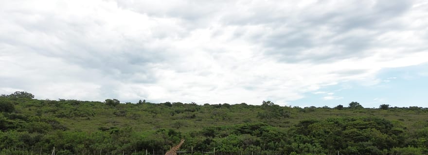 East London : excursion en quad, croisière en yacht et déjeuner