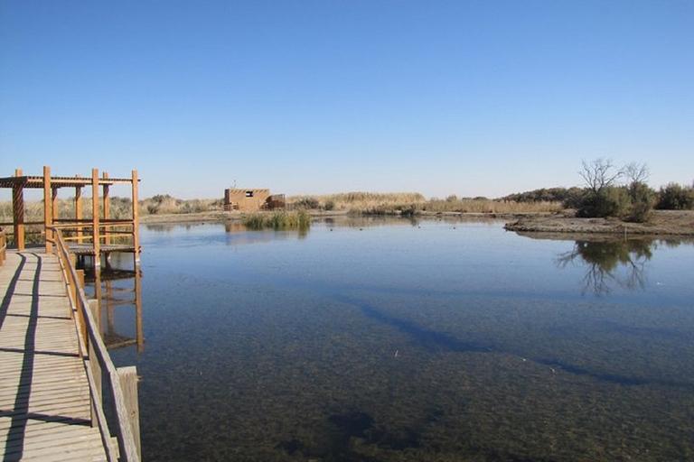 Ammán - Excursión de un día a los Castillos del Desierto y la Reserva del Humedal de AzraqAmmán, Castillos del Desierto y Reserva del Humedal de Azraq VAN DE DÍA COMPLETO