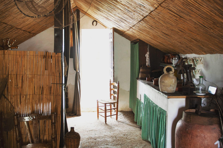 Albufera: Sunset and visit to the barrack