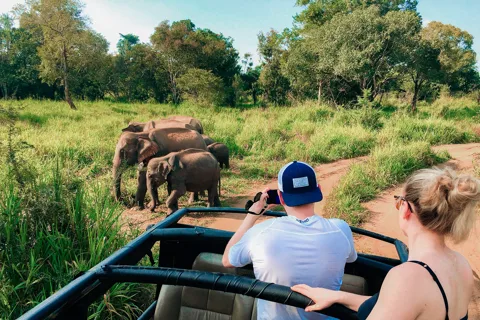 All-Inclusive Habarana HuruluEco Park Private Halfday Safari