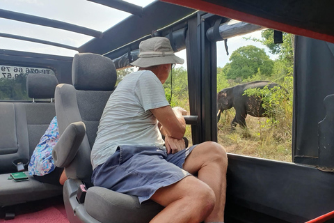 Minneriya National Park Jeep Safari - All Fees Included Minneriya NP Private Safari - Jeep & Entry fee- All included