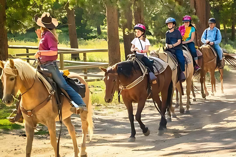 Antalya: Horseback Riding Tour with Hotel Pickup Transfer Excluded