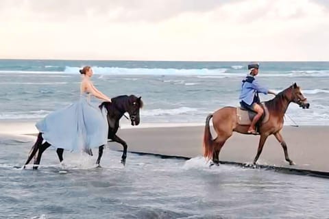 Bali: Saba Beach Horse Riding with Turtle Release Option