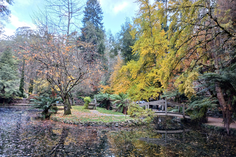 Ab Melbourne: Dandenongs- & William-Ricketts-Sanctuary-Tour