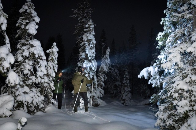 Visit Evening Ski Trek to the Wilderness - Extra Small group in Pyhä-Luosto National Park