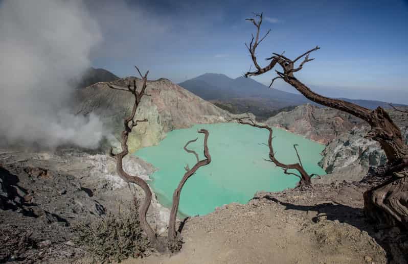Mount Java Blue Fire Mount Ijen Tour from Bali:Experience the majestic blue fire | GetYourGuide