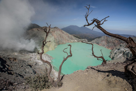 From Bali : Ijen Crater Tour From Canggu, Kuta, Bali