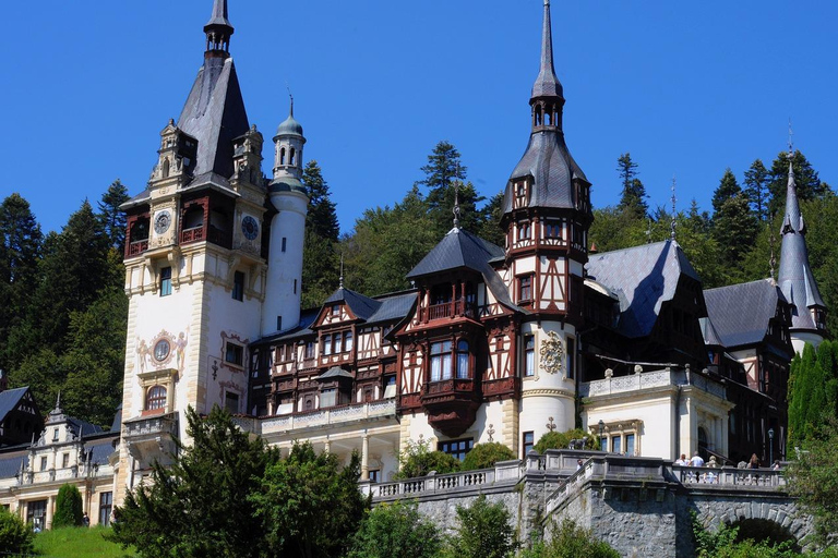 From Brașov: Slanic Salt Mine and Peles Castle Tour