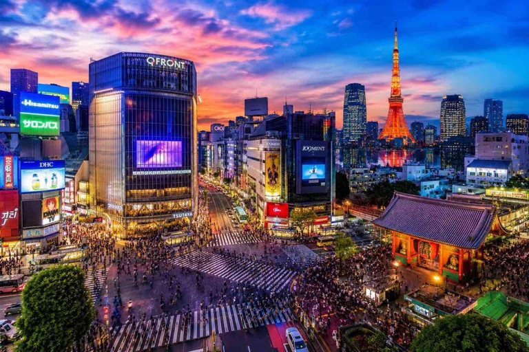 From Tokyo: Tokyo Full Day Private Sightseeing City Tour ITINERARY B:Tokyo Private Customized Tour With English Guide