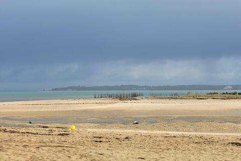 Joyas Ocultas de la Bahía de Arcachon: Excursión Privada a la Península de Cap Ferret