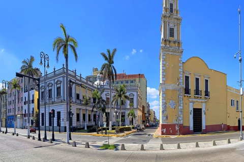 Veracruz: Sightseeing Stadtrundfahrt und Aquarium