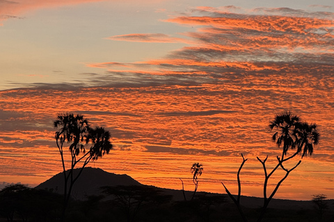Samburu National Reserves: Optional Village Tour & Swimming