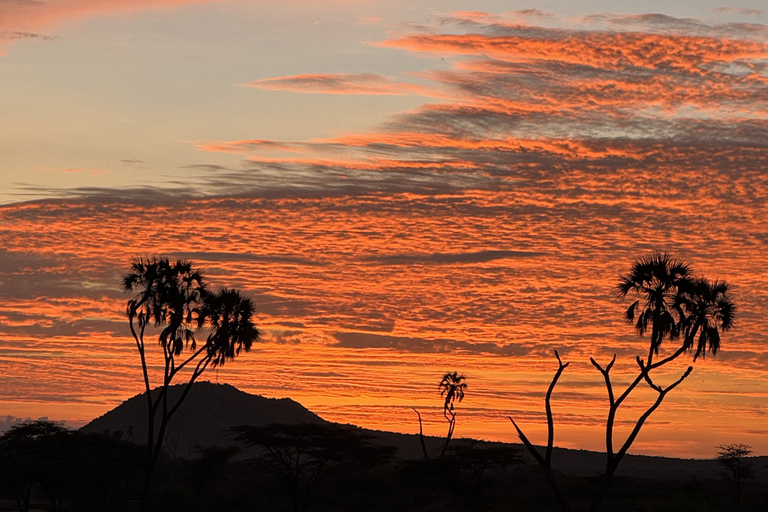 Samburu National Reserves: Optional Village Tour & Swimming