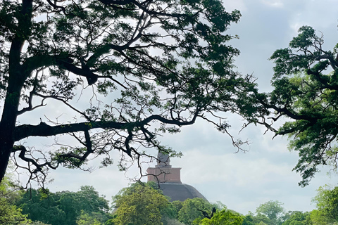 Anuradhapura: Guided Pvt Bike Tour with Lunch & Entry Ticket