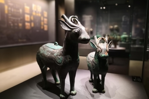 Geschichtsstudium zur Terrakotta-Armee &Shaanxi Archäologie MuseumAll Inclusive Private Tour
