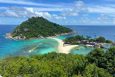Koh Samui: Koh Tao & Nang Yuan Speedboat with Hotel Pickup - Image 2