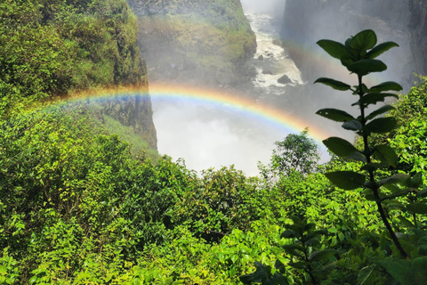Solo Traveler Group Tour: Victoria Falls Zimbabwe & Zambia