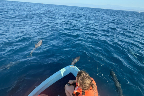 Puerto Escondido: Bootstour zu Delfinen und MeerestierenPrivate Tour